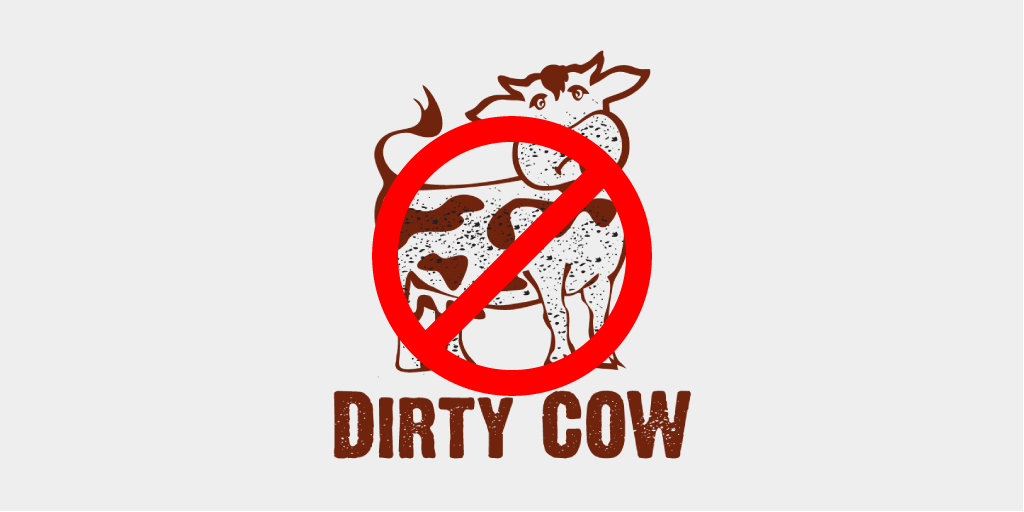 Dirty cow does not affect EE